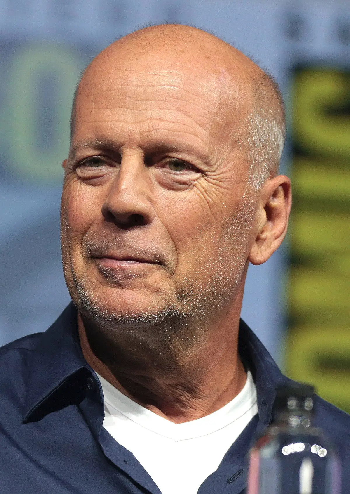 How is Bruce Willis' Health? Update on Bruce Willis Health. TechMehow