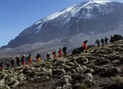 Climbing Kilimanjaro: An Ultimate Adventure