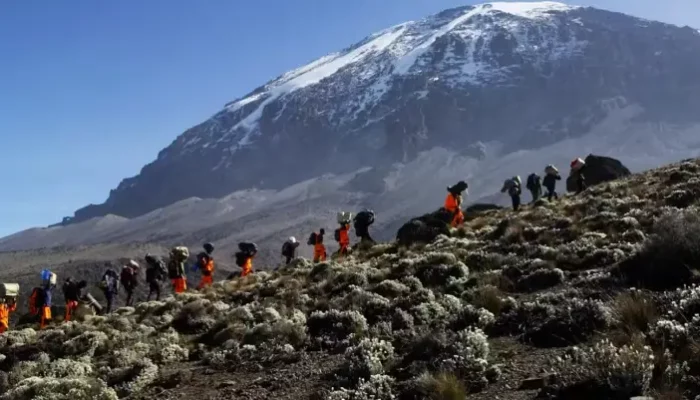 Climbing Kilimanjaro: An Ultimate Adventure