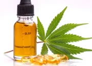 Here’s How You Can Add THC Oil To Your Daily Life