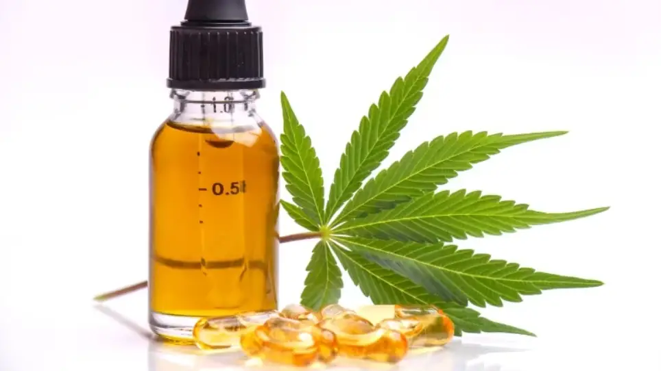 Here’s How You Can Add THC Oil To Your Daily Life