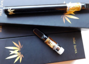 A Beginner’s Guide to Choosing the Best Disposable CBD Vape Pen