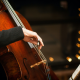 Choosing the Perfect Cello for Your Skill Level