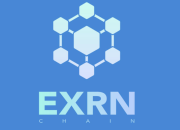 EXRNchain: Bridging the Gap Between Different Blockchains