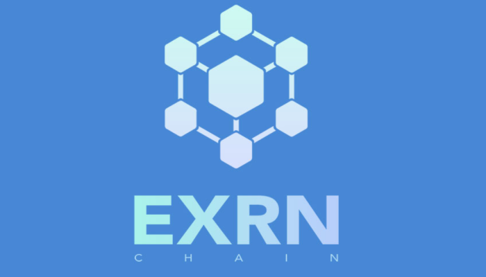 EXRNchain: Bridging the Gap Between Different Blockchains