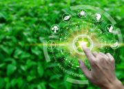 Everything You Need to Know About Green Technology in 2023