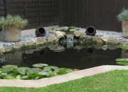 The Future of Pond Filtration: Innovations in EazyPod Technology