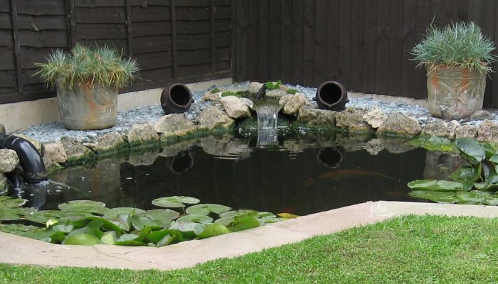 The Future of Pond Filtration: Innovations in EazyPod Technology