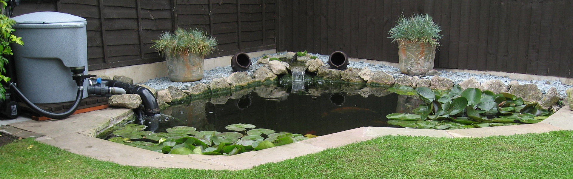 The Future of Pond Filtration: Innovations in EazyPod Technology