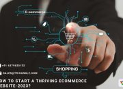 How To Start A Thriving eCommerce Website-2023?