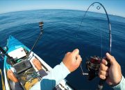 Mastering the Art of Baitcaster Reels