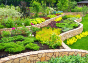 10 Ways to Make Your Landscape More Sustainable with Professional