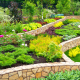 10 Ways to Make Your Landscape More Sustainable with Professional