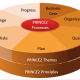 PRINCE2 Course: Key Concepts and Frameworks