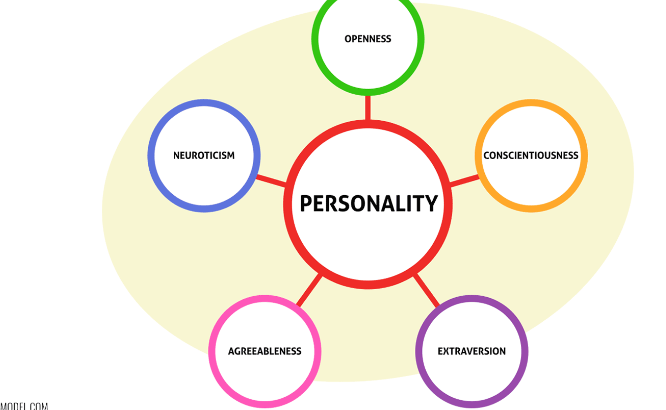 6 Personality Traits That Make You Ideal for Fostering Children in Portsmouth