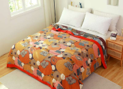 Decoding Quilt Longevity:When and Why to Change Your quilt?