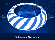 Tokamak Network TON: Igniting Innovation in Blockchain Scaling