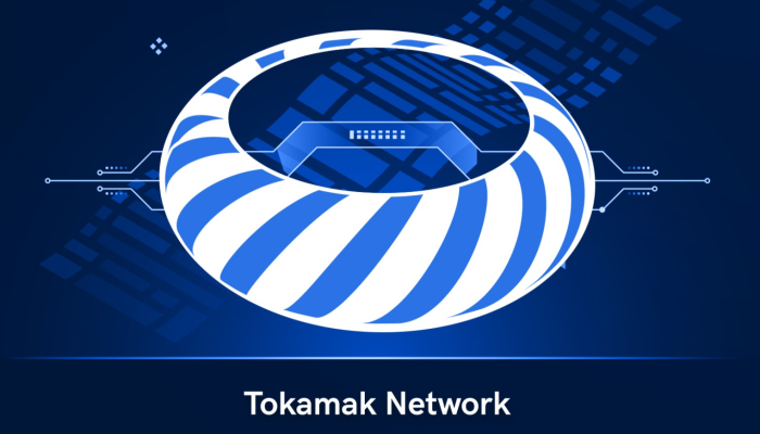 Tokamak Network TON: Igniting Innovation in Blockchain Scaling