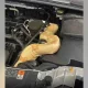 An eight-foot albino boa is found coiling around a vehicle engine by a South Carolina auto technician.