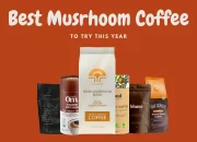 Best Mushroom Coffee: Tested And Reviewed 