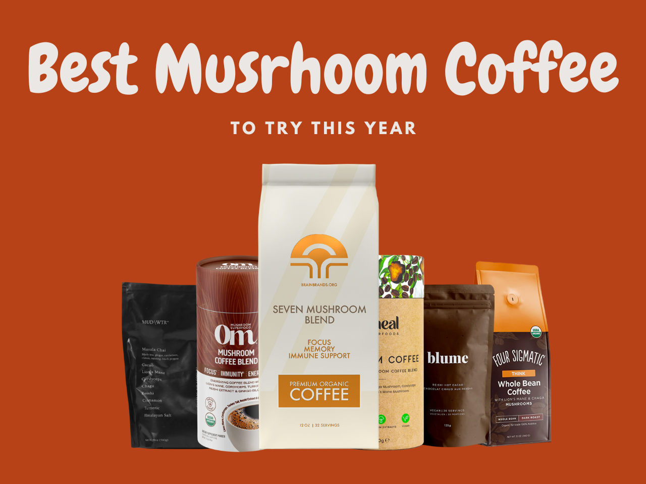 Best Mushroom Coffee: Tested And Reviewed 