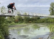 Fugitive from Portland is fished out of a pond after his escape plants him up to his armpits in mud.