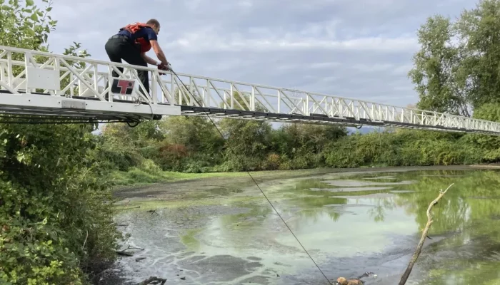 Fugitive from Portland is fished out of a pond after his escape plants him up to his armpits in mud.