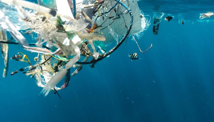 The Impact of Plastic Waste on Marine Life and Ways to Mitigate It