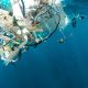 The Impact of Plastic Waste on Marine Life and Ways to Mitigate It