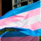 Transgender Care for Children: Georgia Ban on Hormone Replacement Explained