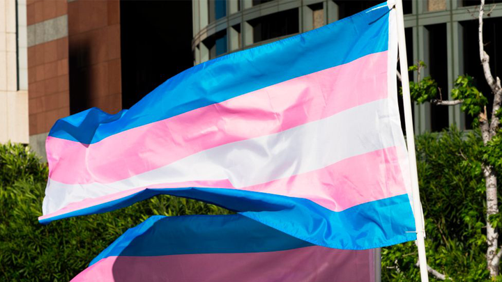 Transgender Care for Children: Georgia Ban on Hormone Replacement Explained