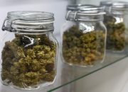 Glass Jars: The Perfect Storage Solution for Cannabis and Seasonings