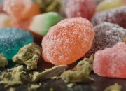 Delta 9 Gummies and Timing: What to Experience Before the Kick-In