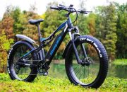 E-Bikes Unveiled: A Closer Look at GOGOBEST’s Lineup