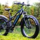 E-Bikes Unveiled: A Closer Look at GOGOBEST’s Lineup