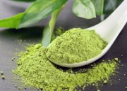 How It Feels To Initiate Matcha Green Tea Powder UK On Daily Basis