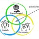 Strategic Outreach: Guiding Sustainable Businesses to Consumer Engagement and Financial Prosperity