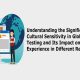 Understanding the Significance of Cultural Sensitivity in Globalization Testing and Its Impact on User