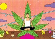 Weed and Wellness: The Positive Impact of Cannabis on Health and Lifestyle