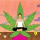 Weed and Wellness: The Positive Impact of Cannabis on Health and Lifestyle