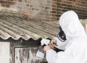 DIY vs. Professional Asbestos Removal: Pros and Cons