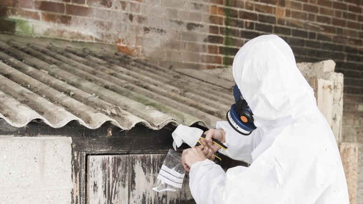 DIY vs. Professional Asbestos Removal: Pros and Cons