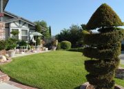 The Ultimate Guide to Maintaining a Mansion Front Yard: Tips and Tricks