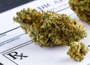 Understanding the Different Methods of Consuming Medical Marijuana