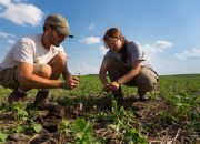 Tips for Eco-Friendly Farming: Embracing Sustainability in Agriculture