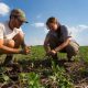 Tips for Eco-Friendly Farming: Embracing Sustainability in Agriculture