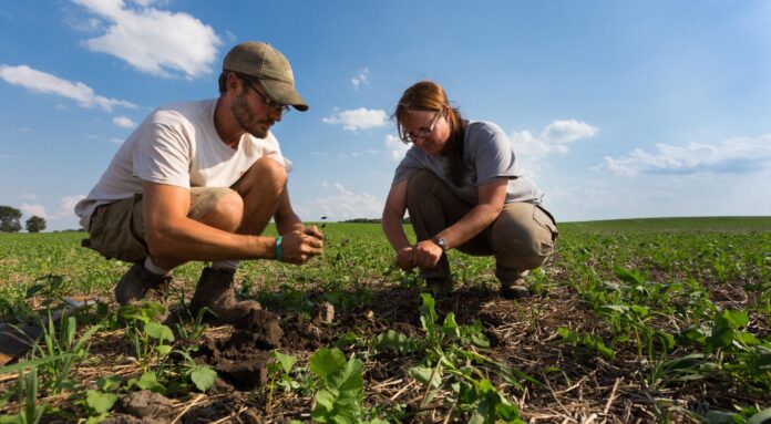 Tips for Eco-Friendly Farming: Embracing Sustainability in Agriculture