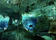 Exploring the Abyss: Cenote Diving Unveiled – A Dive into the Mysteries of the Underworld