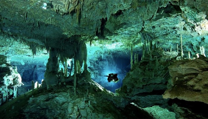 Exploring the Abyss: Cenote Diving Unveiled – A Dive into the Mysteries of the Underworld