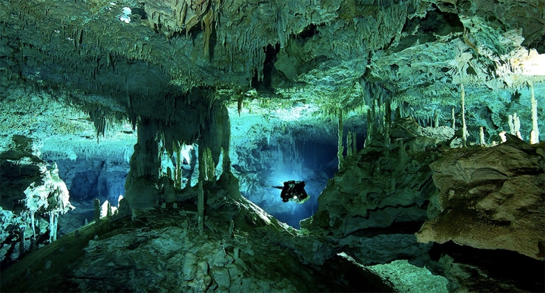 Exploring the Abyss: Cenote Diving Unveiled – A Dive into the Mysteries of the Underworld